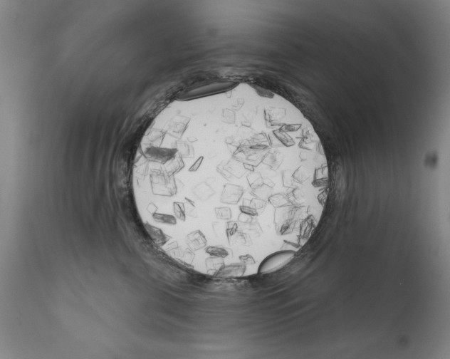 X0000111170571200908121049