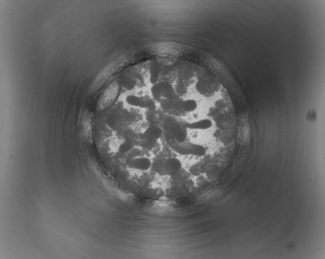 X0000111170573200908121049