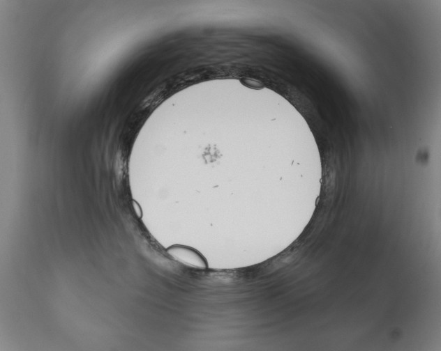 X0000111170574200908121049