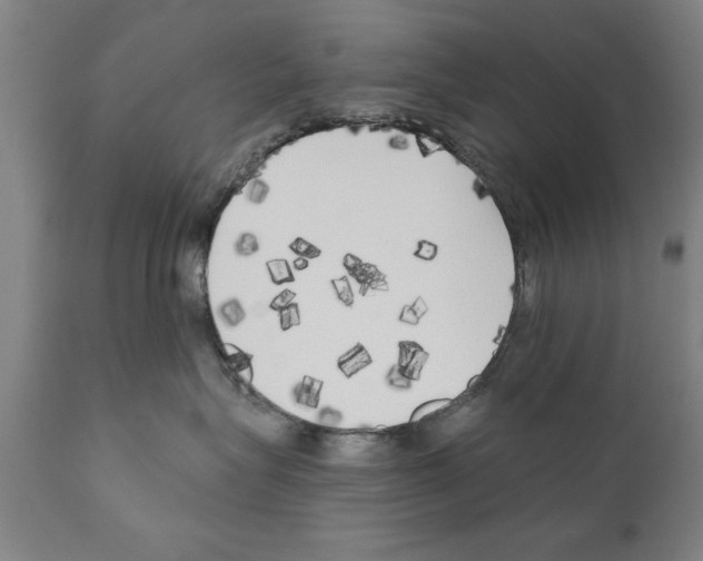 X0000111170575200908121049