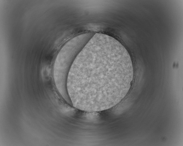 X0000111170576200908121049