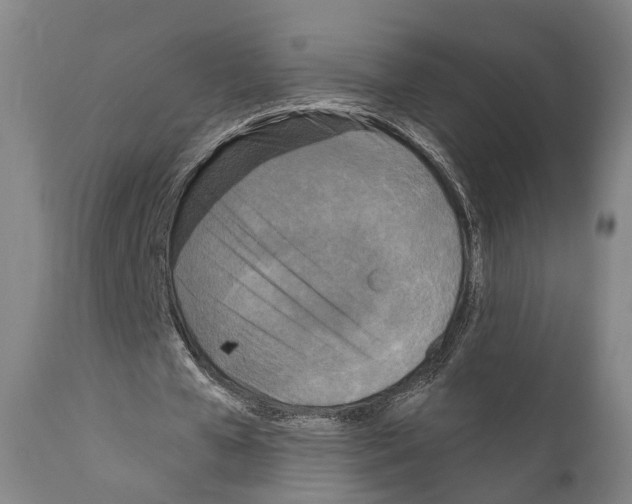 X0000111170577200908121049