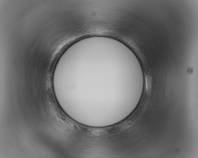 X0000111170579200908121049