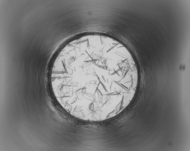 X0000111170580200908121049