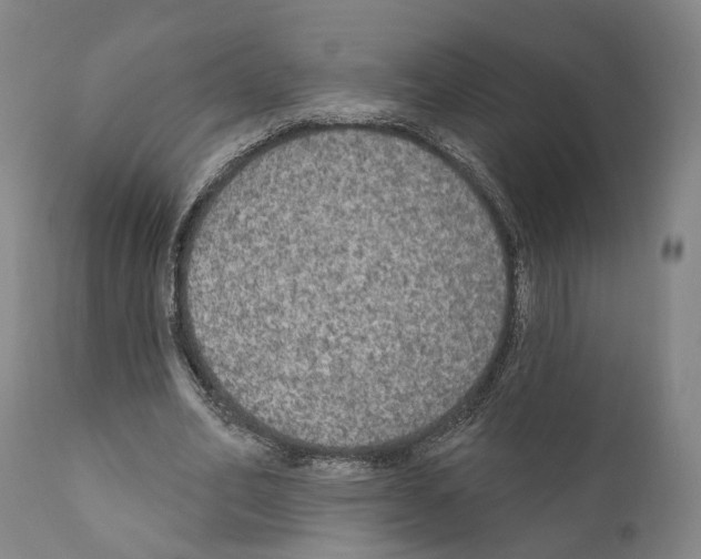 X0000111170582200908121049