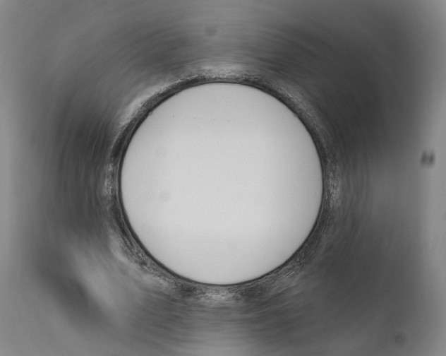 X0000111170583200908121049