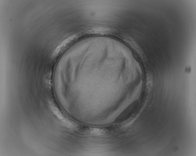 X0000111170585200908121049