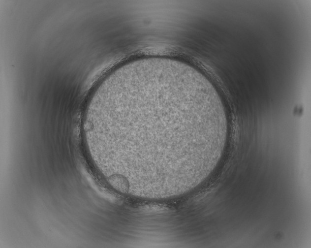 X0000111170586200908121049