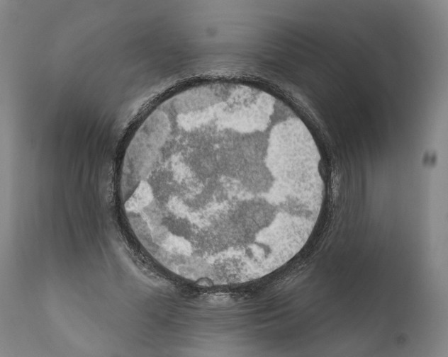 X0000111170588200908121049