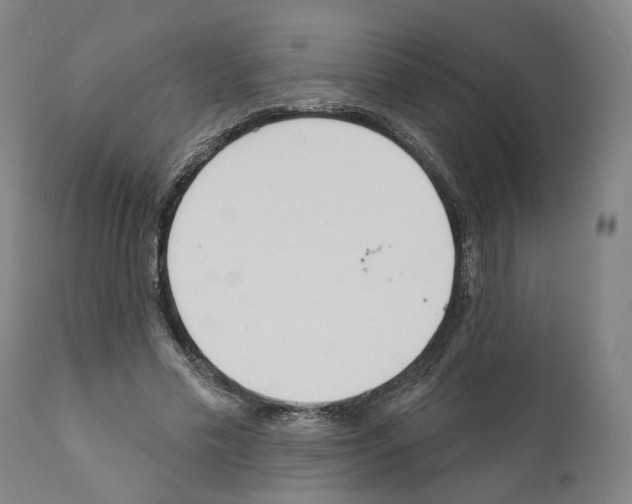 X0000111170589200908121049