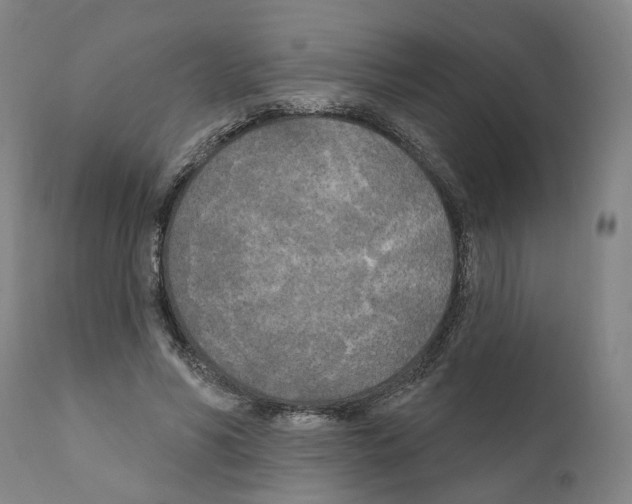 X0000111170590200908121049