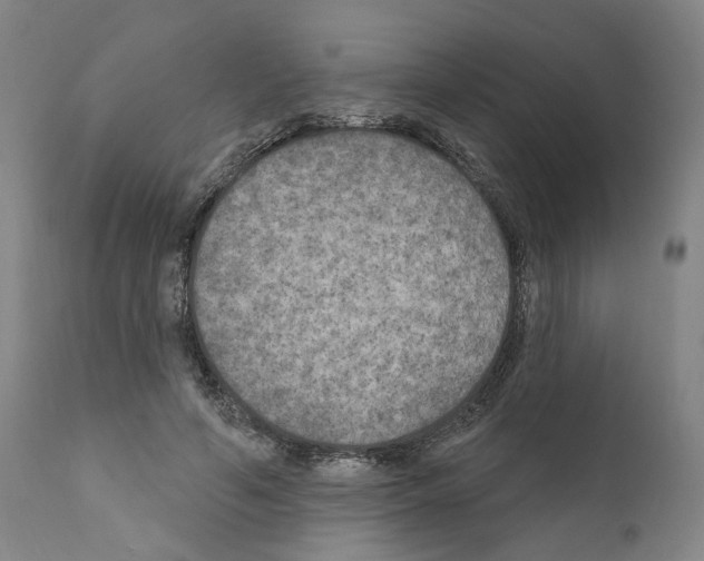 X0000111170594200908121049