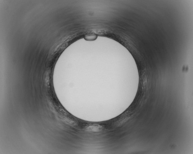 X0000111170595200908121049