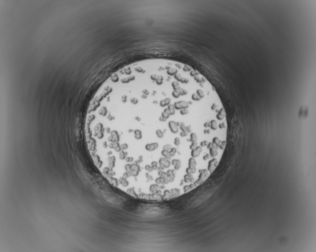 X0000111170597200908121049