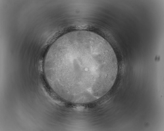 X0000111170598200908121049