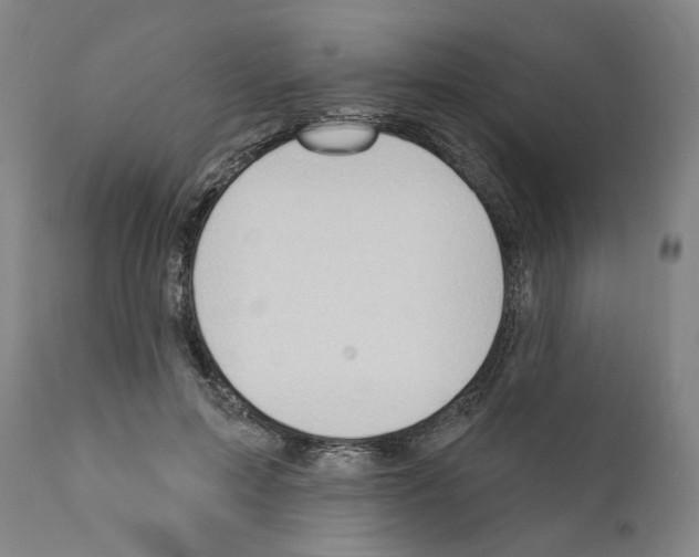 X0000111170599200908121049