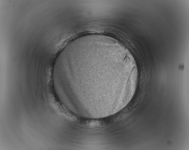 X0000111170600200908121049