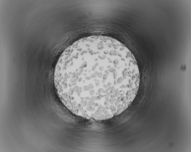 X0000111170601200908121049