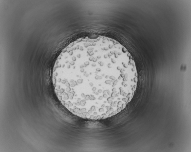 X0000111170605200908121048