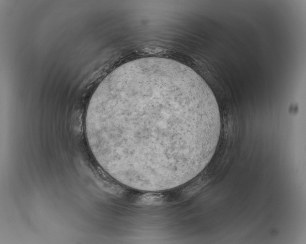 X0000111170606200908121048