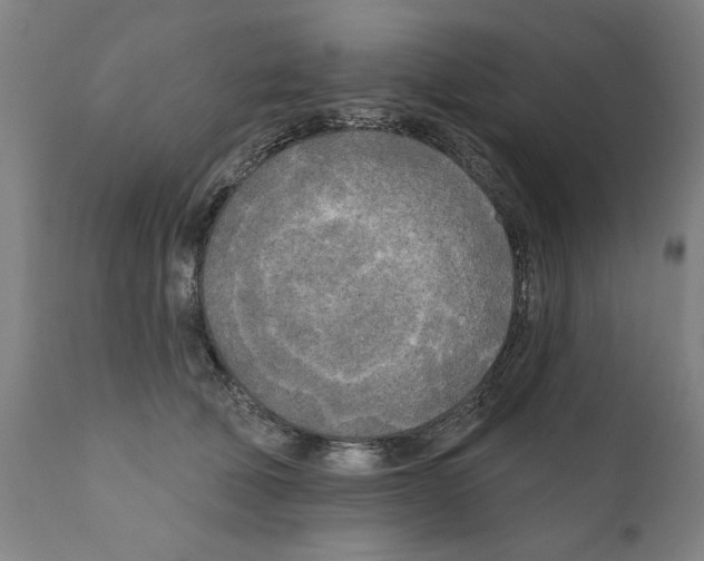 X0000111170610200908121048