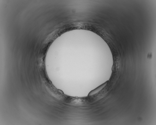 X0000111170611200908121048