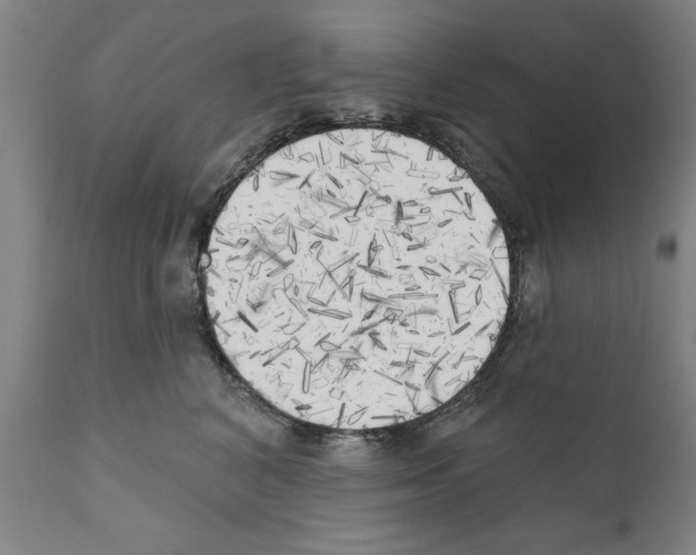 X0000111170616200908121048