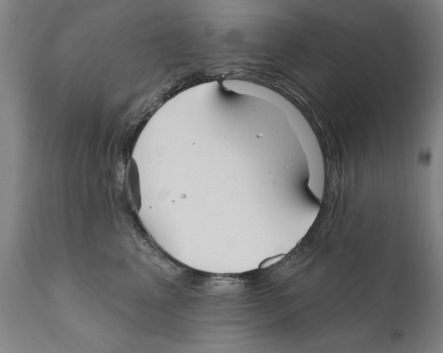 X0000111170617200908121048