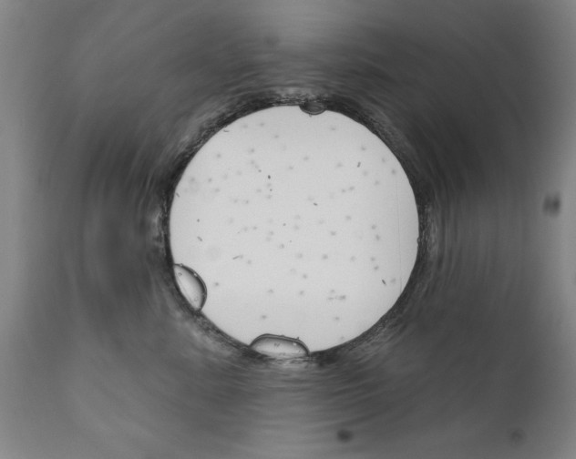 X0000111170619200908121048