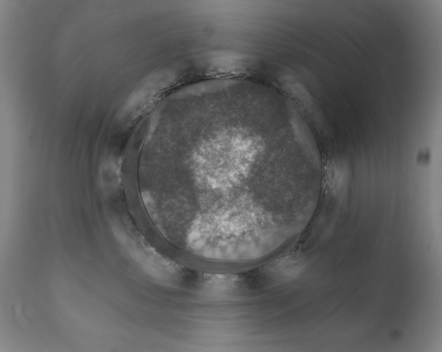 X0000111170621200908121048