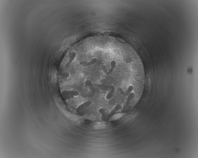 X0000111170623200908121048