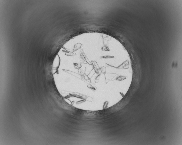 X0000111170624200908121048