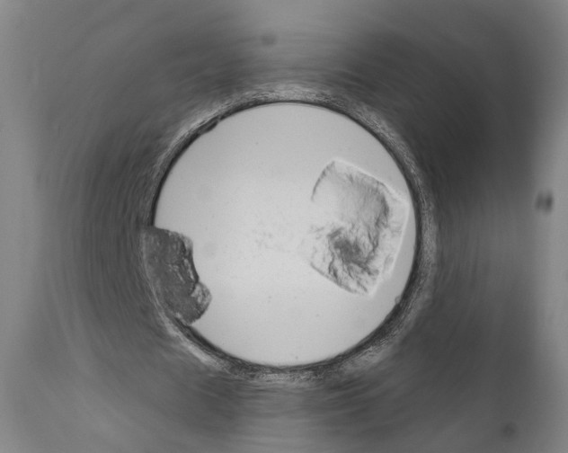 X0000111170625200908121048