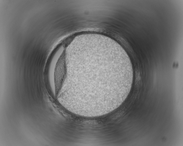 X0000111170628200908121048