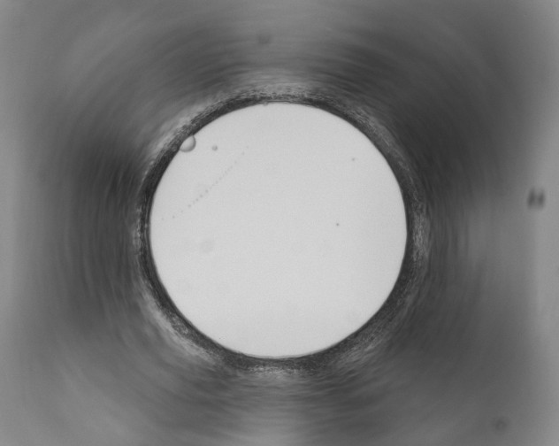 X0000111170629200908121048