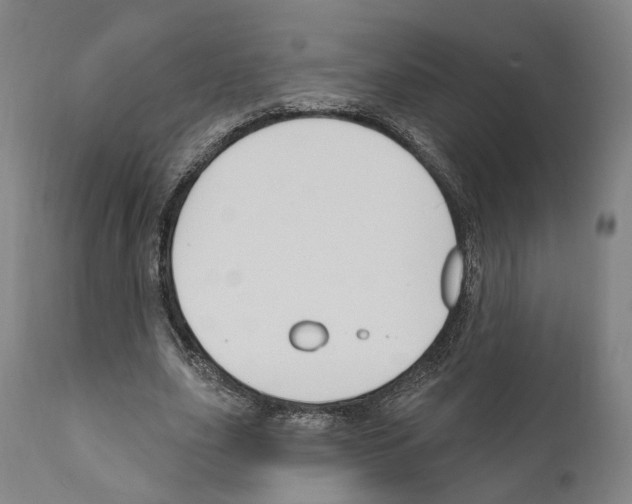 X0000111170631200908121048