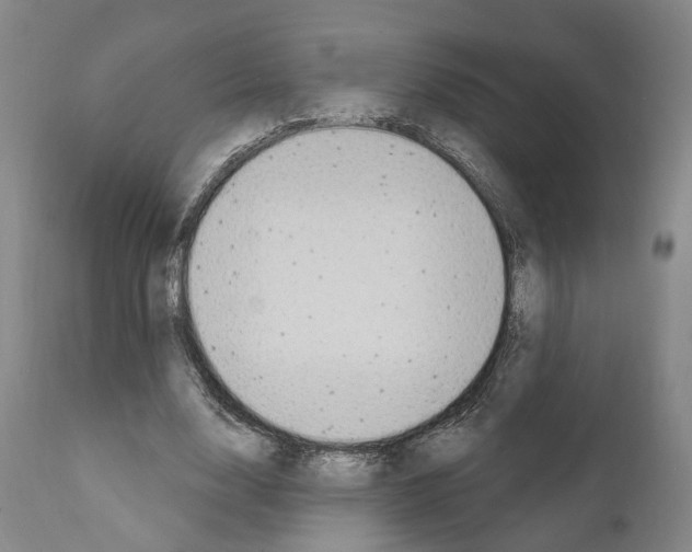 X0000111170632200908121048