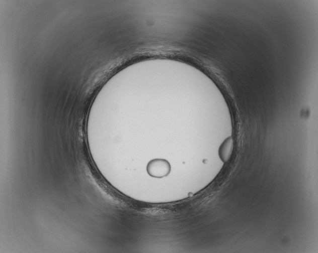 X0000111170633200908121048