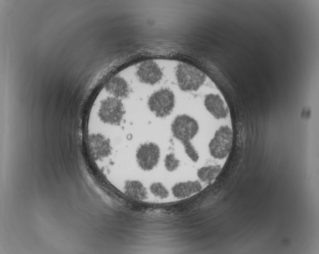 X0000111170634200908121048