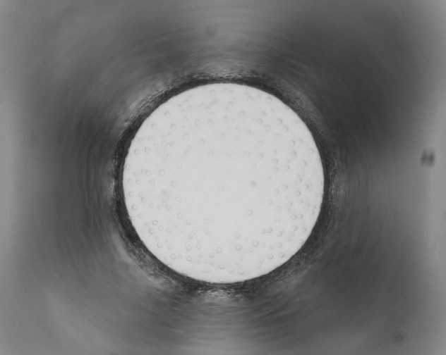 X0000111170635200908121048