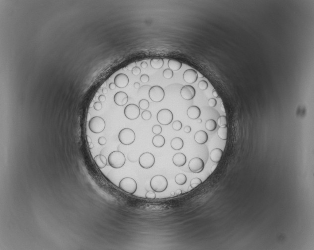 X0000111170638200908121048