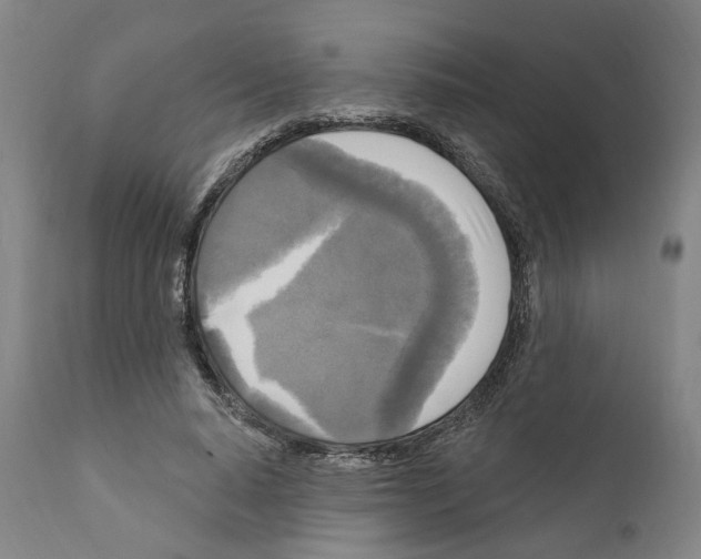 X0000111170640200908121048