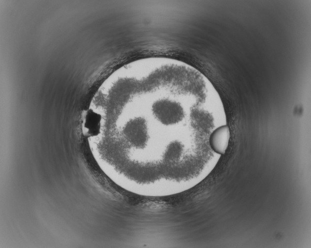 X0000111170642200908121048