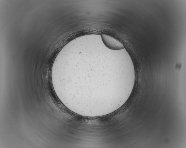 X0000111170645200908121048