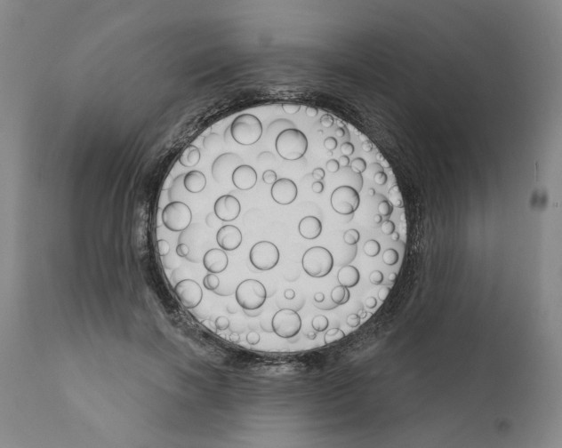 X0000111170646200908121048