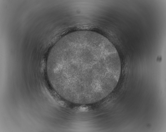 X0000111170647200908121048