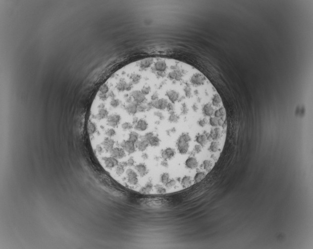 X0000111170652200908121048