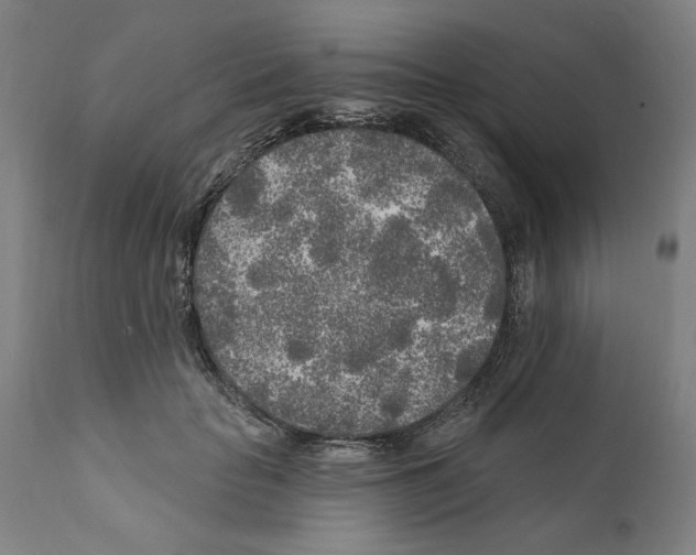 X0000111170653200908121048