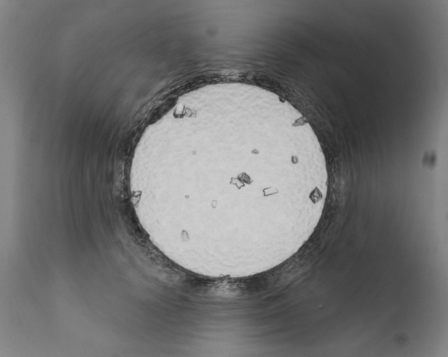 X0000111170656200908121048