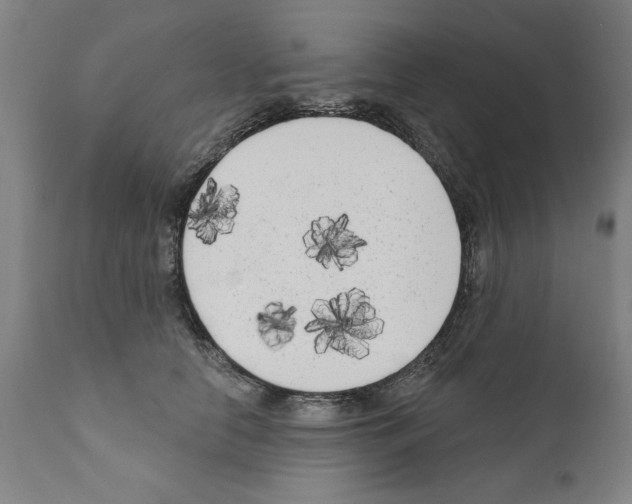 X0000111170658200908121048